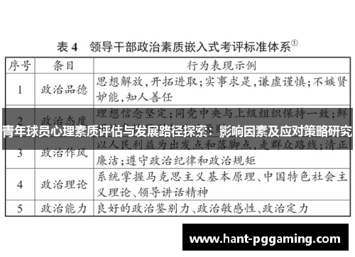青年球员心理素质评估与发展路径探索：影响因素及应对策略研究